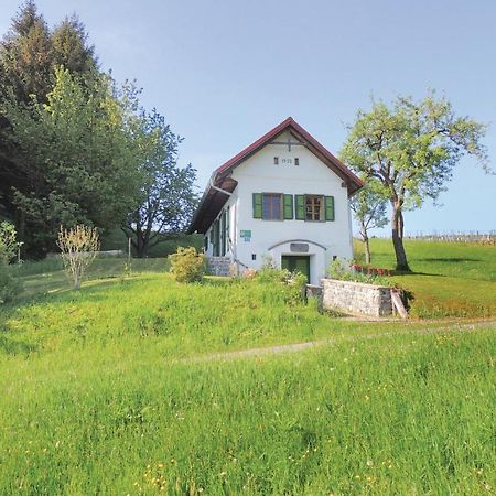 Haus In Strem Mit Panoramab, Vila Exterior foto